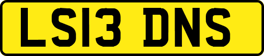 LS13DNS