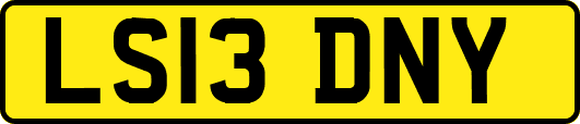 LS13DNY
