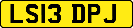 LS13DPJ