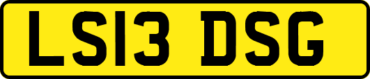 LS13DSG