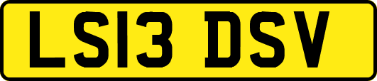 LS13DSV