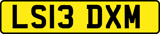 LS13DXM