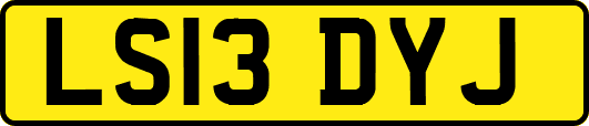 LS13DYJ