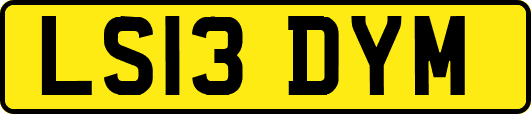 LS13DYM