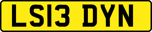 LS13DYN