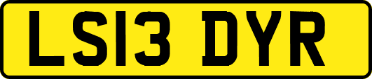 LS13DYR