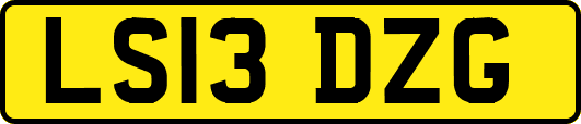 LS13DZG