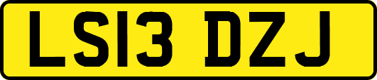 LS13DZJ