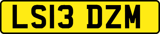 LS13DZM