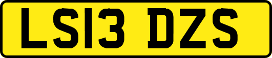 LS13DZS