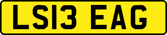 LS13EAG