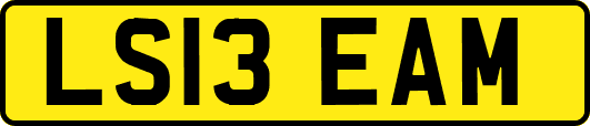 LS13EAM