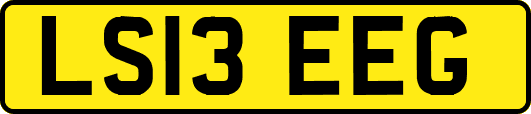 LS13EEG