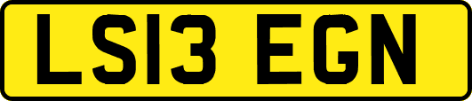 LS13EGN