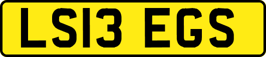 LS13EGS