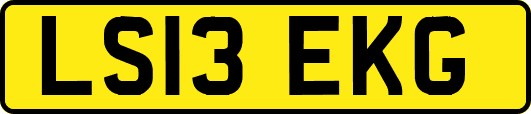 LS13EKG