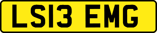 LS13EMG
