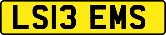 LS13EMS
