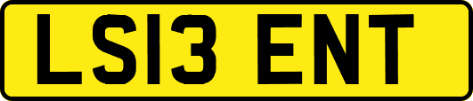 LS13ENT