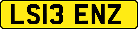 LS13ENZ