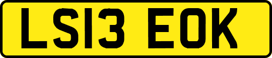 LS13EOK