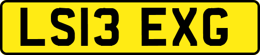 LS13EXG