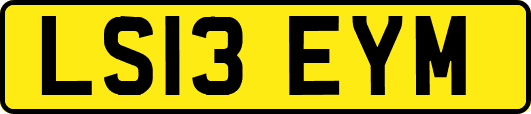 LS13EYM