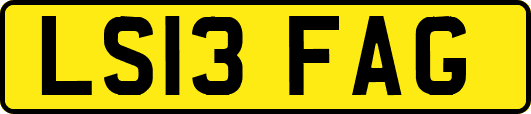 LS13FAG