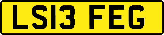 LS13FEG