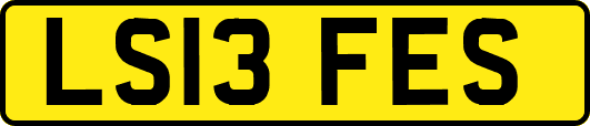 LS13FES