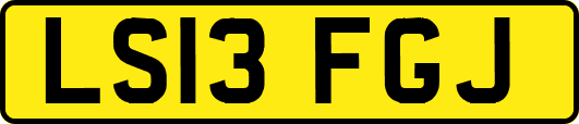 LS13FGJ