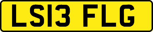 LS13FLG
