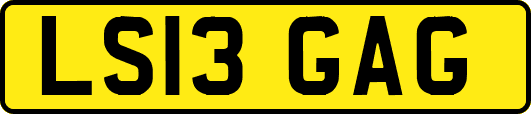 LS13GAG