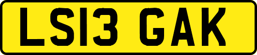 LS13GAK