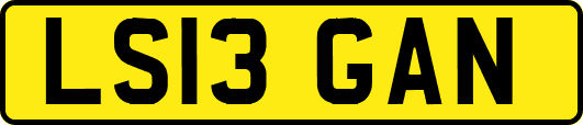 LS13GAN