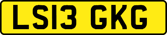 LS13GKG
