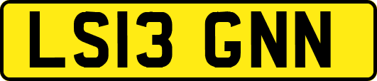 LS13GNN
