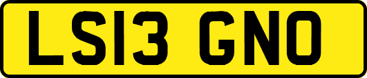 LS13GNO