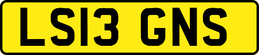 LS13GNS