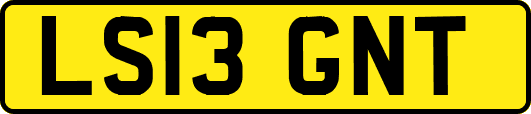 LS13GNT