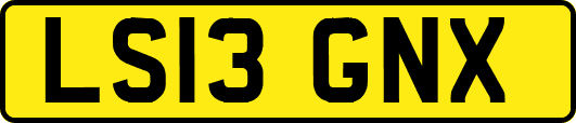 LS13GNX