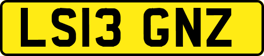 LS13GNZ