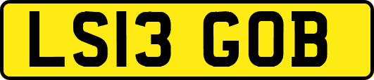 LS13GOB