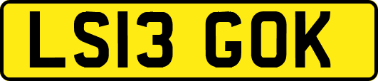 LS13GOK