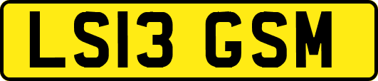 LS13GSM