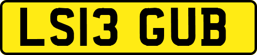 LS13GUB