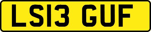LS13GUF