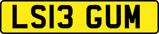 LS13GUM