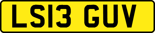 LS13GUV
