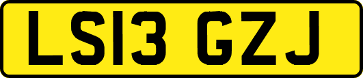LS13GZJ